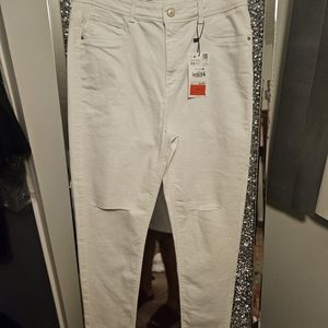 jegging